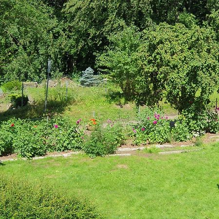 Ferienhaus In Geesthacht-Tesperhude Direkt Am Waldrand 외부 사진