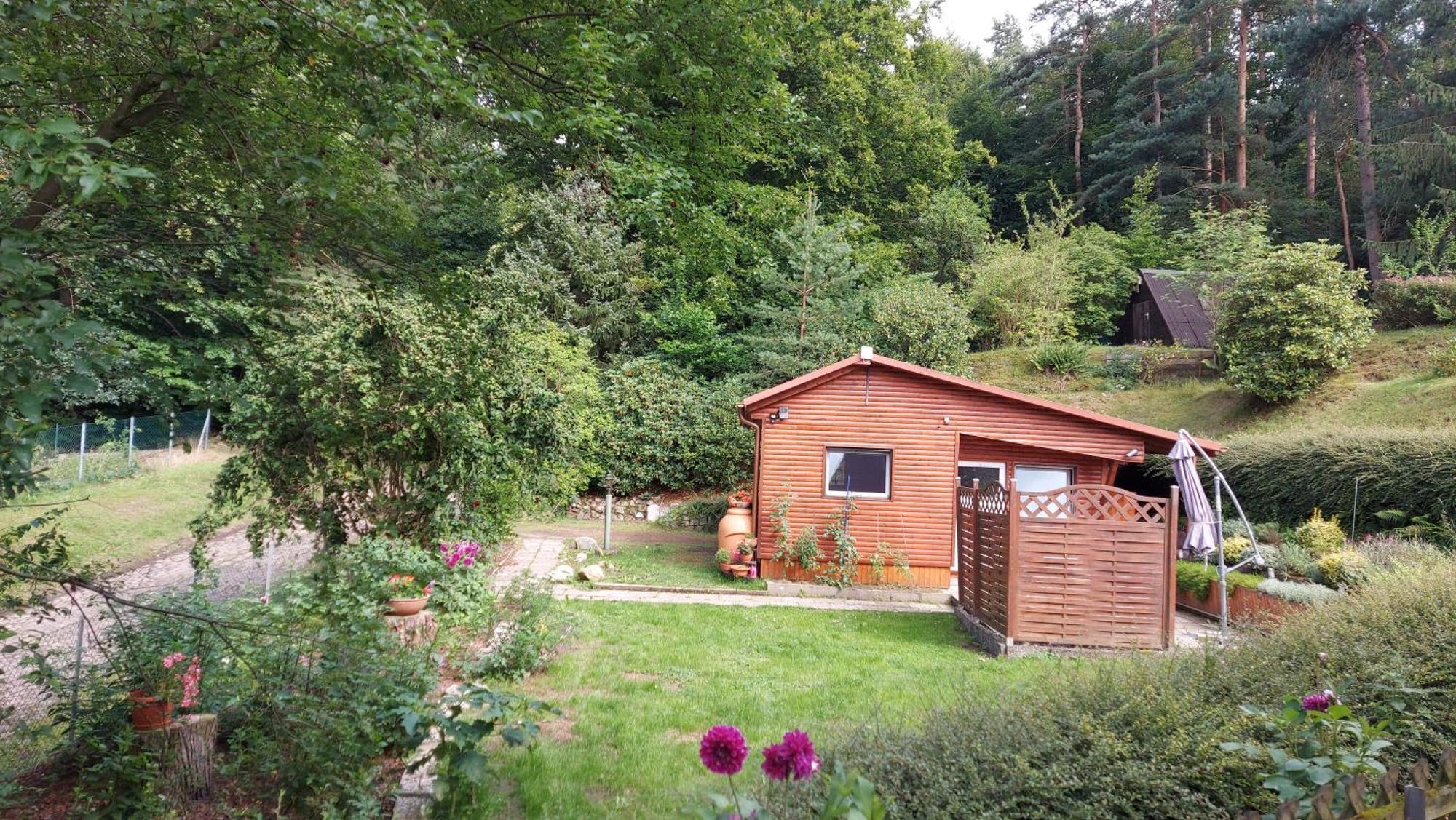 Ferienhaus In Geesthacht-Tesperhude Direkt Am Waldrand 외부 사진