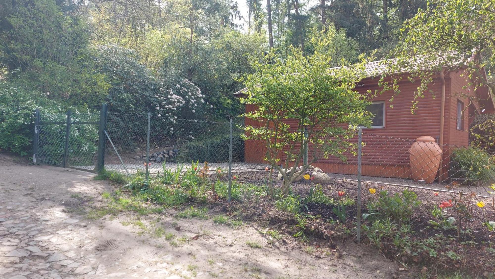 Ferienhaus In Geesthacht-Tesperhude Direkt Am Waldrand 외부 사진